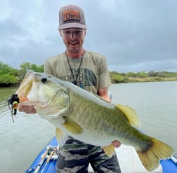 Largemouth Bass fishing in Graford, Texas