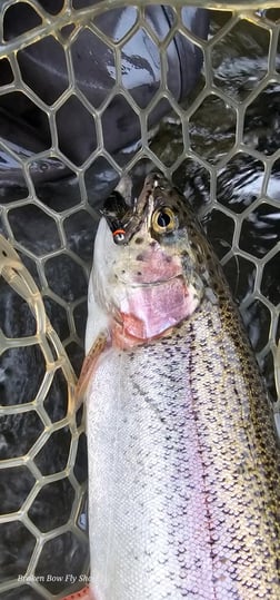 Fishing in Broken Bow, Oklahoma