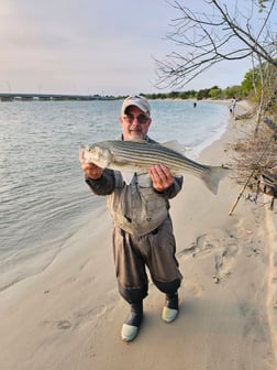 Striped Bass Fishing in Stone Harbor, New Jersey