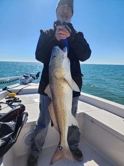 Redfish Fishing in Galveston, Texas