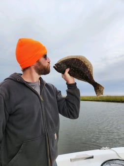 Redfish, Sheepshead, Speckled Trout / Spotted Seatrout Fishing in Yscloskey, Louisiana