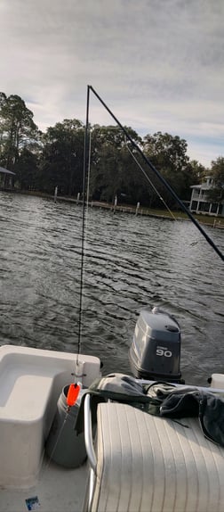 Redfish Fishing in Santa Rosa Beach, Florida