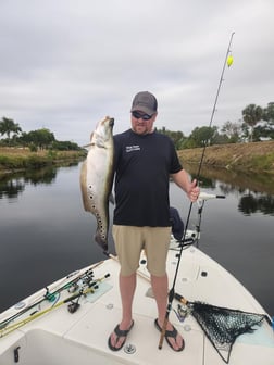 Clown Knifefish Fishing in Wellington, Florida