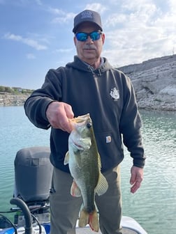 Largemouth Bass Fishing in Austin, Texas