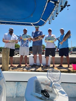 Gag Grouper, Permit fishing in Holmes Beach, Florida