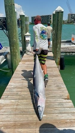 Fishing in Madeira Beach, Florida