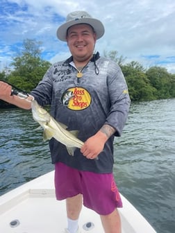 Speckled Trout Fishing in Sarasota, Florida