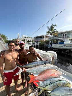 Mutton Snapper Fishing in Layton Key, Florida