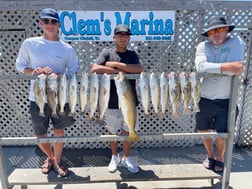 Flounder, Speckled Trout / Spotted Seatrout fishing in Corpus Christi, Texas