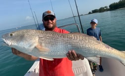 Redfish fishing in Sarasota, Florida