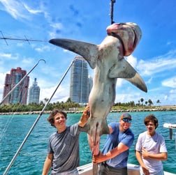 Fishing in Pompano Beach, Florida