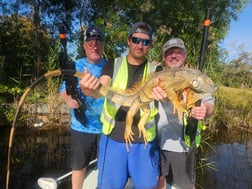 Hunting in Fort Lauderdale, Florida