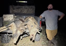 Hog Hunting in Fulshear, Texas