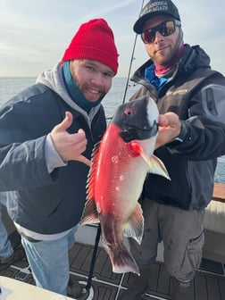 Fishing in Los Angeles, California