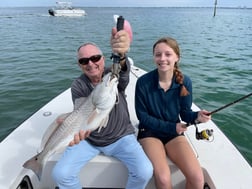 Redfish Fishing in Sarasota, Florida