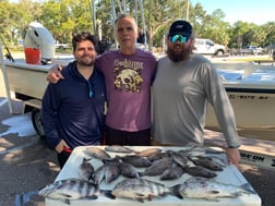 Redfish, Sheepshead Fishing in St. Petersburg, Florida