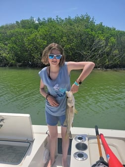 Snook fishing in Fort Myers, Florida