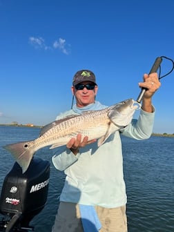 Redfish Fishing in Galveston, Texas