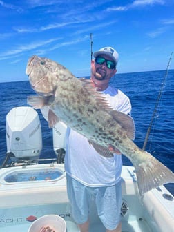 Cubera Snapper Fishing in Clearwater, Florida