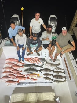 Amberjack, Kingfish, Red Snapper Fishing in Freeport, Texas