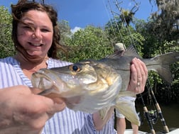 Bull Shark Fishing in Jupiter, Florida