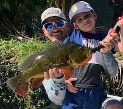 Peacock Bass Fishing in Palmetto Bay, Florida