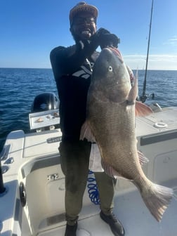 Fishing in Fernandina Beach, Florida