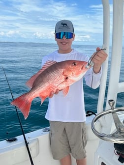 Red Snapper Fishing in Panama City Beach, Florida