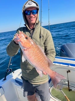 Red Snapper, Scamp Grouper, Scup / Porgy, Triggerfish Fishing in Destin, Florida