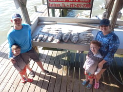 Black Drum Fishing in Houston, Texas