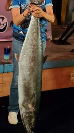 Cobia Fishing in Clearwater, Florida