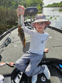 Fishing in Fort Lauderdale, Florida