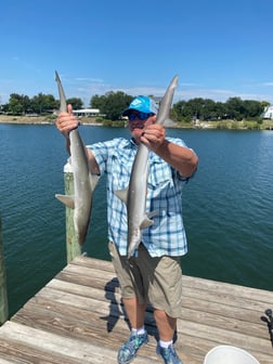 Red Snapper Fishing in Pensacola, Florida