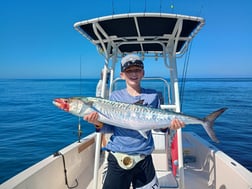 Kingfish Fishing in Sarasota, Florida