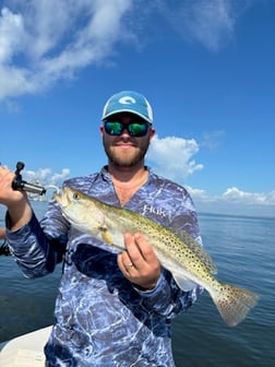 Fishing in Sarasota, Florida