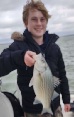 Blue Catfish, Striped Bass Fishing in Runaway Bay, Texas