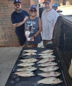 Blue Catfish, Hybrid Striped Bass Fishing in Runaway Bay, Texas