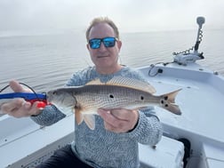 Fishing in St. Petersburg, Florida