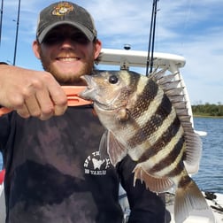 Sheepshead Fishing in Mount Pleasant, South Carolina