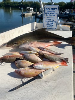 Fishing in Key West, Florida