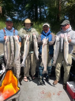 Steelhead fishing in Toledo, Washington