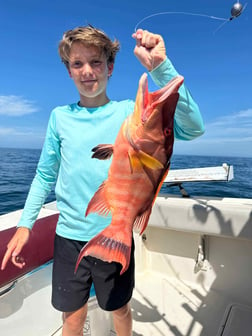 Hogfish Fishing in Madeira Beach, Florida