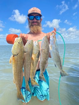 Alligator Gar fishing in Rockport, Texas