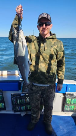 Chinook Salmon Fishing in Verona Beach, New York