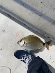 Fishing in Destin, Florida