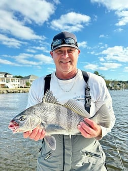 Fishing in Beaufort, North Carolina