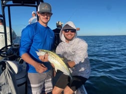 Redfish Fishing in Sarasota, Florida