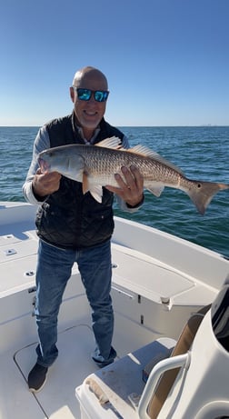 Redfish Fishing in Pensacola, Florida