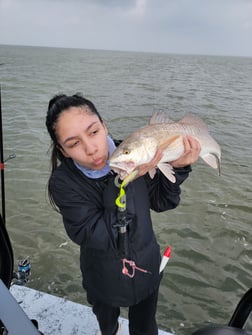 Redfish Fishing in Rio Hondo, Texas