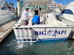 Fishing in Cabo San Lucas, Baja California Sur